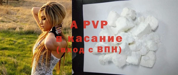 СК Вяземский