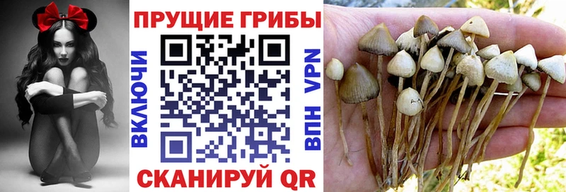 Галлюциногенные грибы Psilocybine cubensis  Очёр 